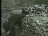 Thumbnail 23