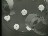 Thumbnail 22