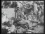 Thumbnail 62