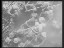 Thumbnail 65