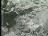Thumbnail 20