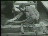 Thumbnail 18