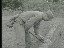 Thumbnail 21