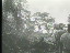Thumbnail 22