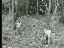 Thumbnail 24