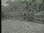 Thumbnail 26