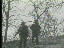 Thumbnail 80
