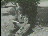 Thumbnail 16