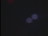 Thumbnail 33