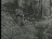 Thumbnail 23