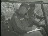 Thumbnail 16