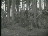 Thumbnail 19