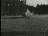 Thumbnail 29