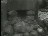 Thumbnail 35