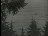 Thumbnail 27