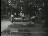 Thumbnail 22