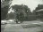 Thumbnail 25
