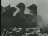 Thumbnail 27