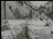 Thumbnail 22