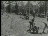 Thumbnail 26