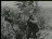 Thumbnail 27