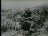 Thumbnail 20
