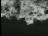 Thumbnail 24