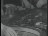 Thumbnail 55
