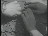 Thumbnail 68