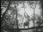 Thumbnail 27
