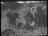Thumbnail 22