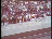 Thumbnail 23