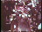 Thumbnail 25