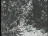Thumbnail 38