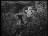 Thumbnail 34