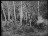 Thumbnail 47