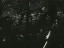 Thumbnail 28