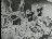 Thumbnail 36