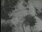 Thumbnail 55