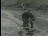 Thumbnail 37