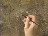 Thumbnail 21