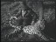 Thumbnail 21