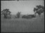 Thumbnail 30
