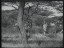 Thumbnail 38