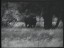 Thumbnail 39