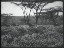 Thumbnail 43