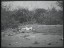 Thumbnail 49