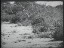Thumbnail 52