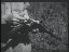 Thumbnail 60