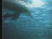 Thumbnail 23